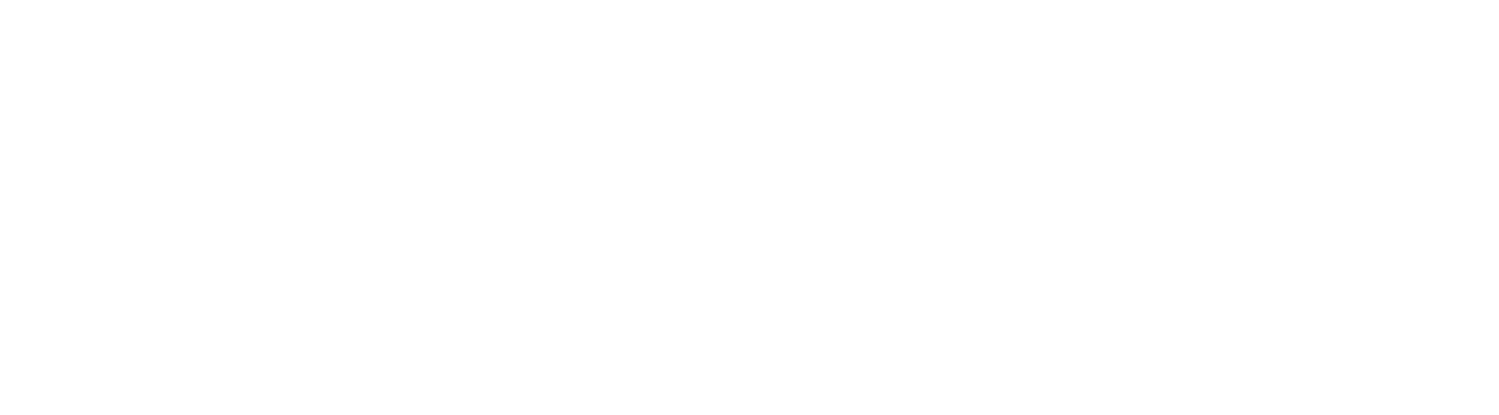 Maxigion Nigerial Limited